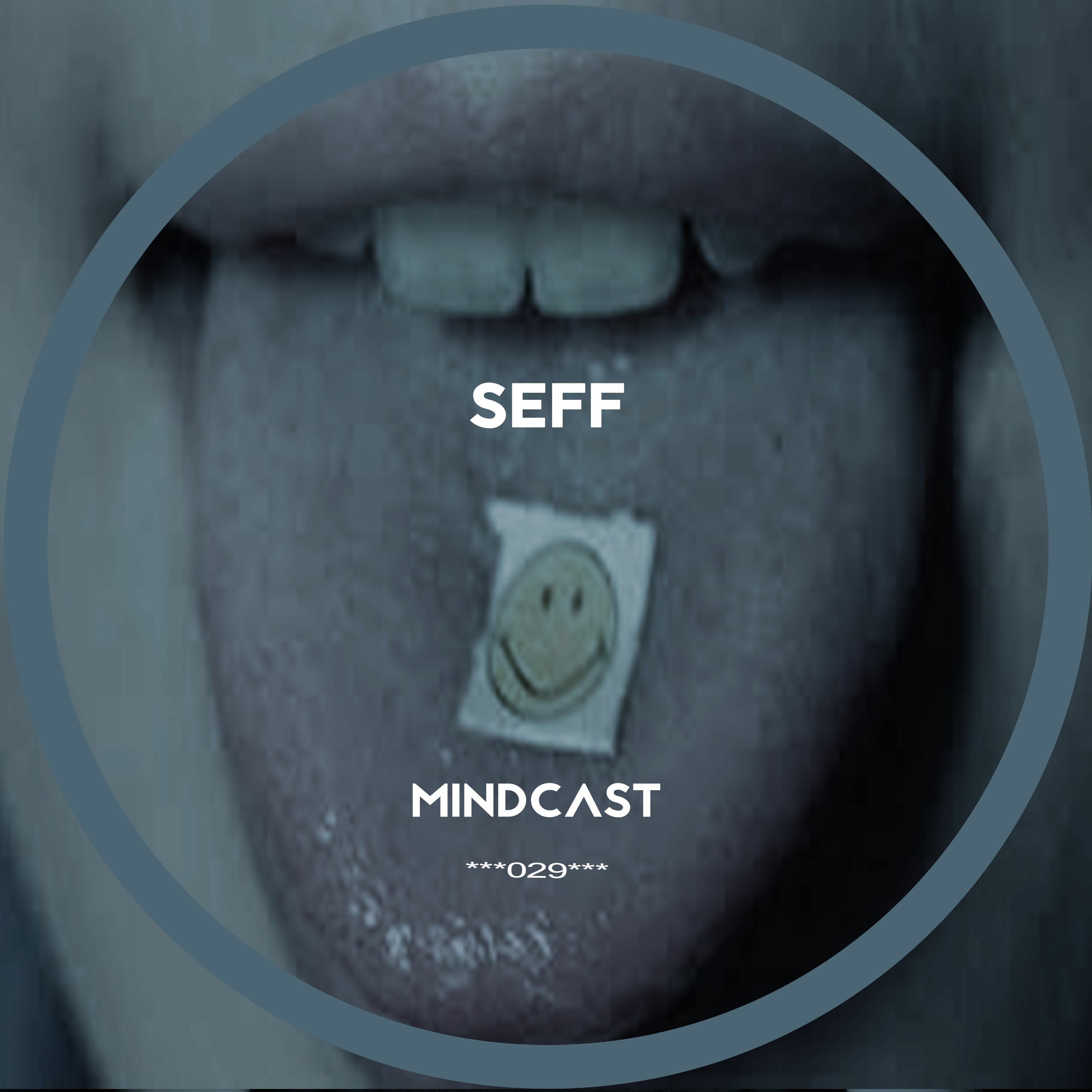SEFF - Mindcast #029 episode artwork