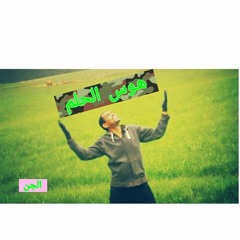 في الليلة ديك