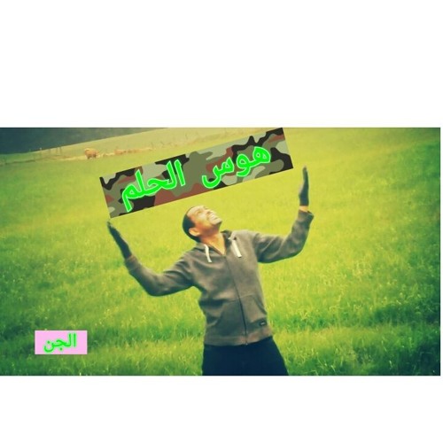 في الليلة ديك