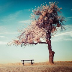 Simplicity