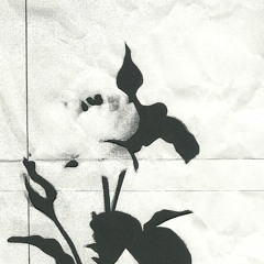 O Mio Bambino Caro (Fäntömäs Ëlëngëndrö REMIX)