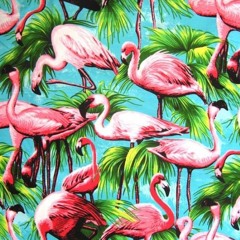 tropics