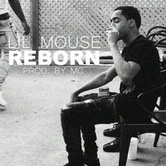 Lil Mouse - Reborn