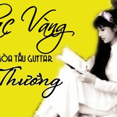 30 Ca khúc hòa tấu Guitar Nhạc Vàng Chọn lọc