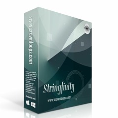 Final Moment - Produced By MJ Metz using STRINGFINITY™