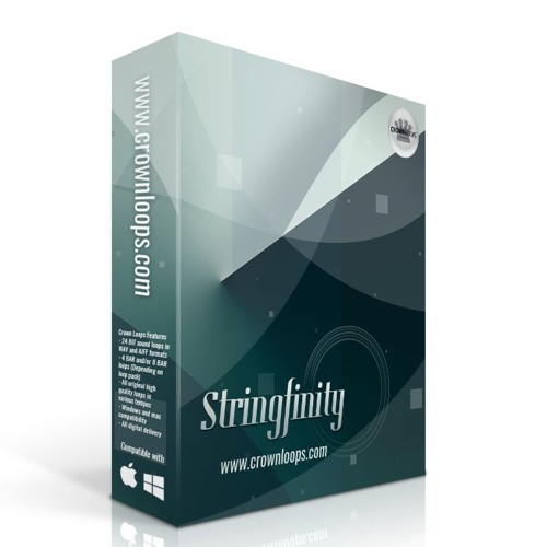 Final Moment - Produced By MJ Metz using STRINGFINITY™