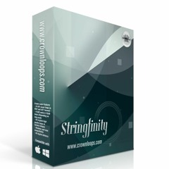 The Way You Move - Produced by Ron R.E.G using STRINGFINITY™