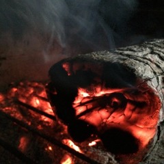 Pendulum - Showdown (cover)