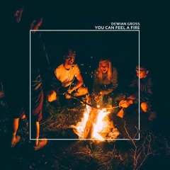 Dewian Gross - You Can Feel A Fire (Original Mix)