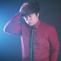 Chỉ Là Người Dưng - Nguyễn Đình Vũ