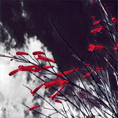 I Won't Be Your Rocking Horse