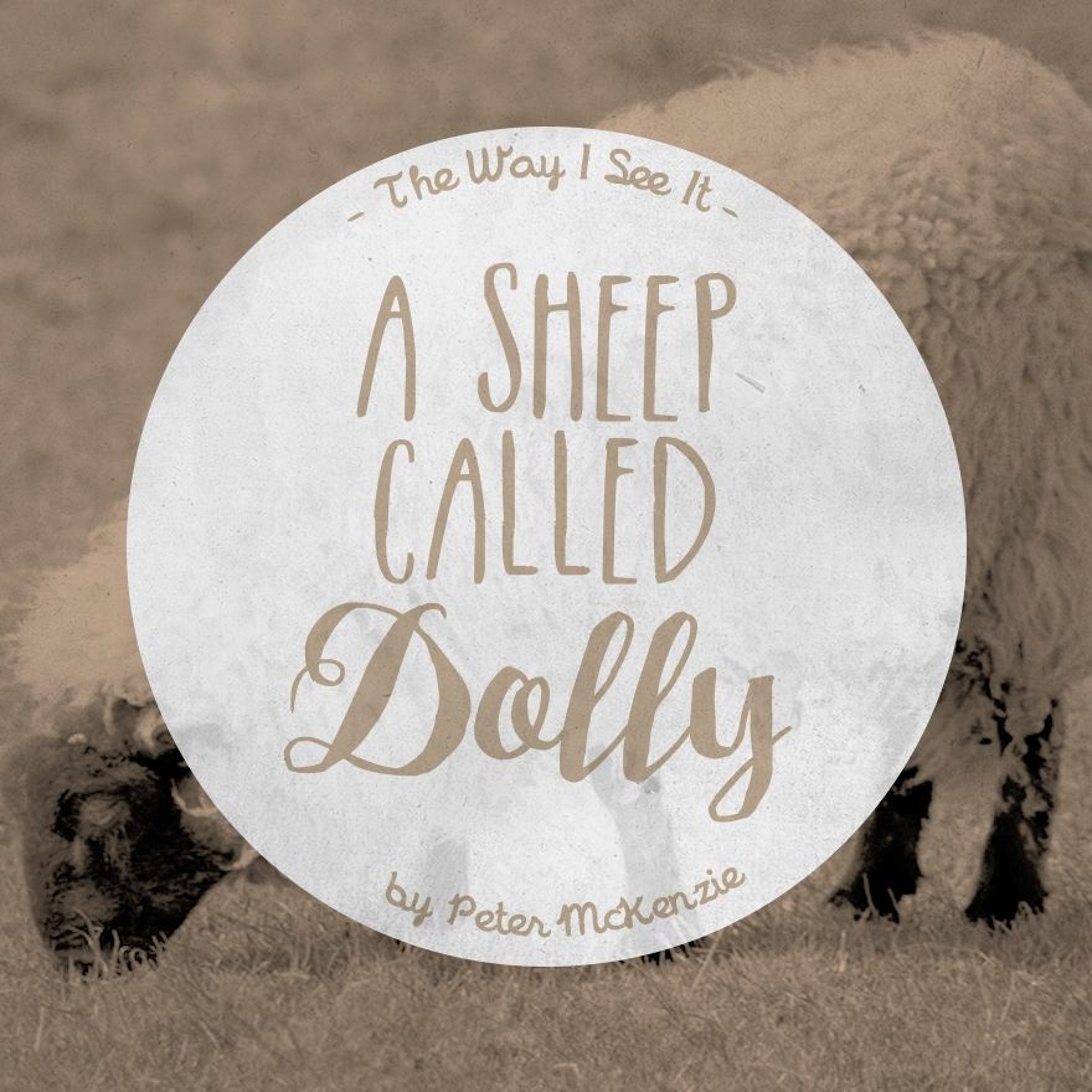 A Sheep Called Dolly episode artwork