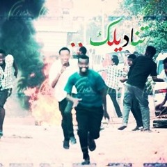 تناديلك - بكري هندسة