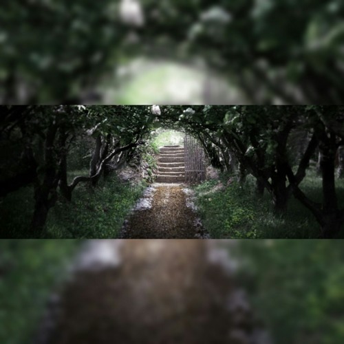 Secret Garden (Remake)