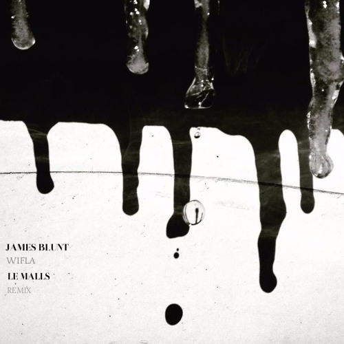 James Blunt - W.I.F.L.A (Le Malls Remix)