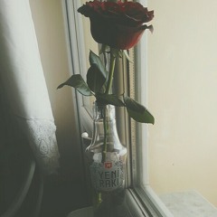 Zeki Müren - Bir Bahar Akşamı Rastladım Size