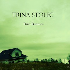 Dust Bunnies By Trina Stolec