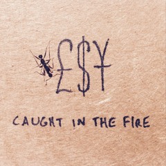 Caught in the Fire