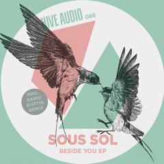 Hive Audio 066 - Sous Sol - Beside You (Dario D'attis Remix)