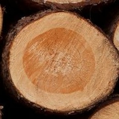 Ich und mein Festival Holz (Movin Elements Edit)