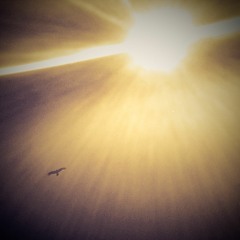 No One Feels The Same