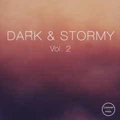 DARK & STORMY VOL. 2