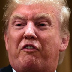 Cancel the Election (and Just Give It to Trump)