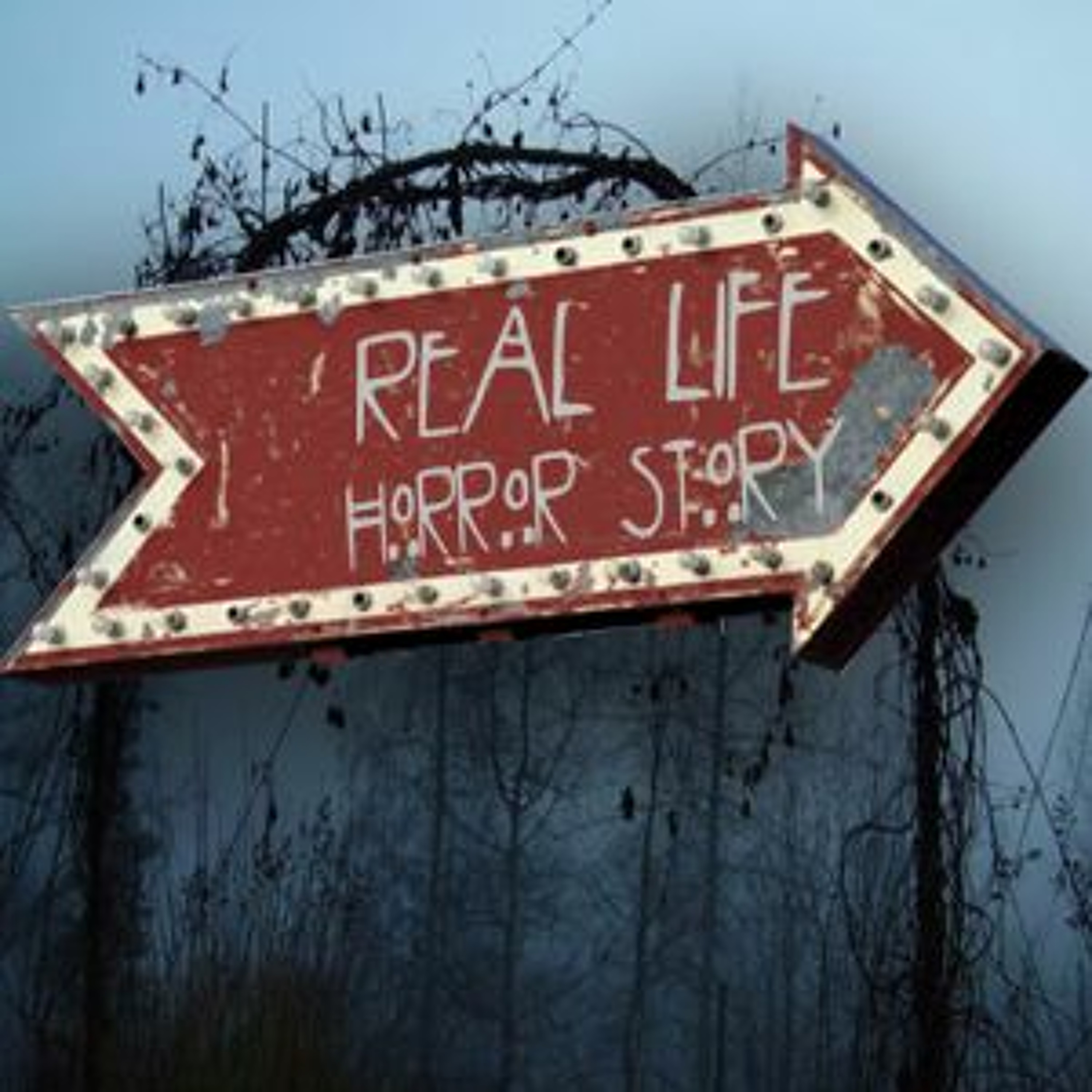 Real Life Horror Story 5 Of 5 episode artwork