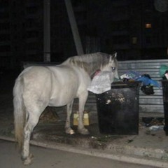 Roy Orbison / Rebekah Del Rio Cover (Crying / Llorando)