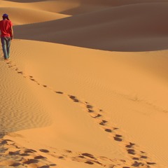 Camino en el Desierto