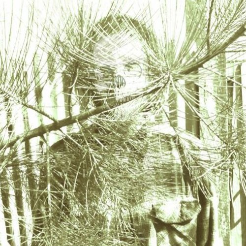 Time takes things (Lost Joints 20XX)