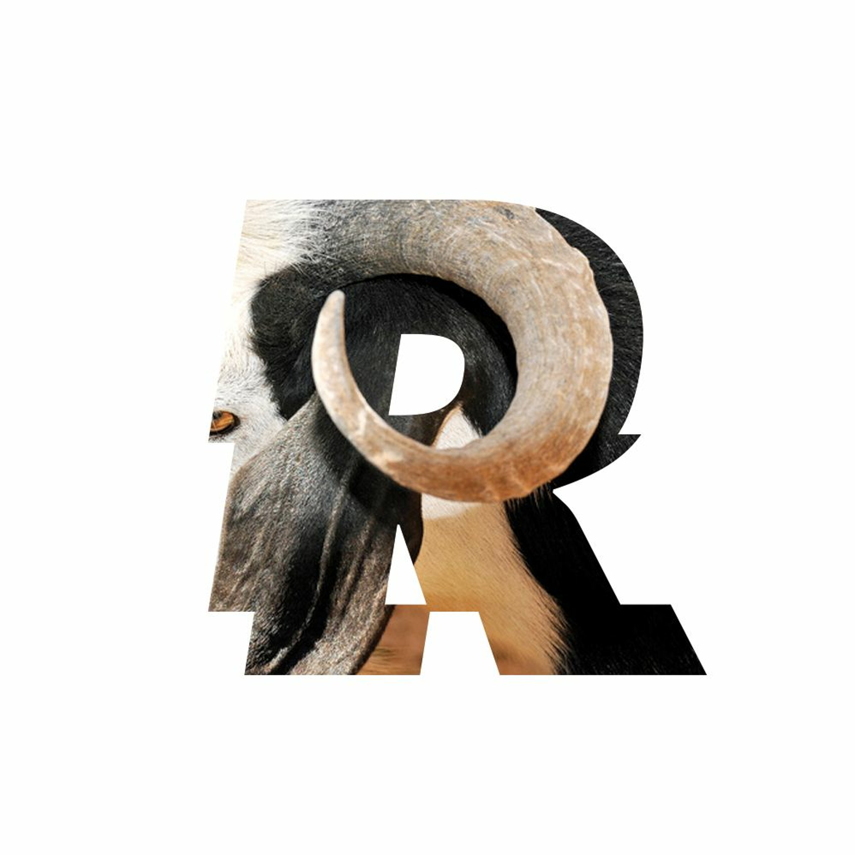 REMESA