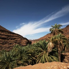 النانة منت الشيخ أحمد- سيّه