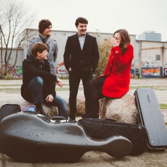 Joseph Haydn: String Quartet Op. 20, No. 2 in C Major - Moderato