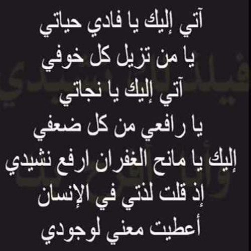 آتي إليك يا فادي حياتي