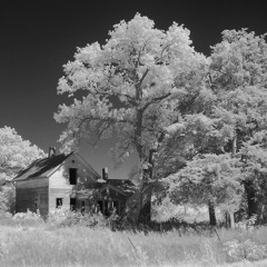 Farm Noir