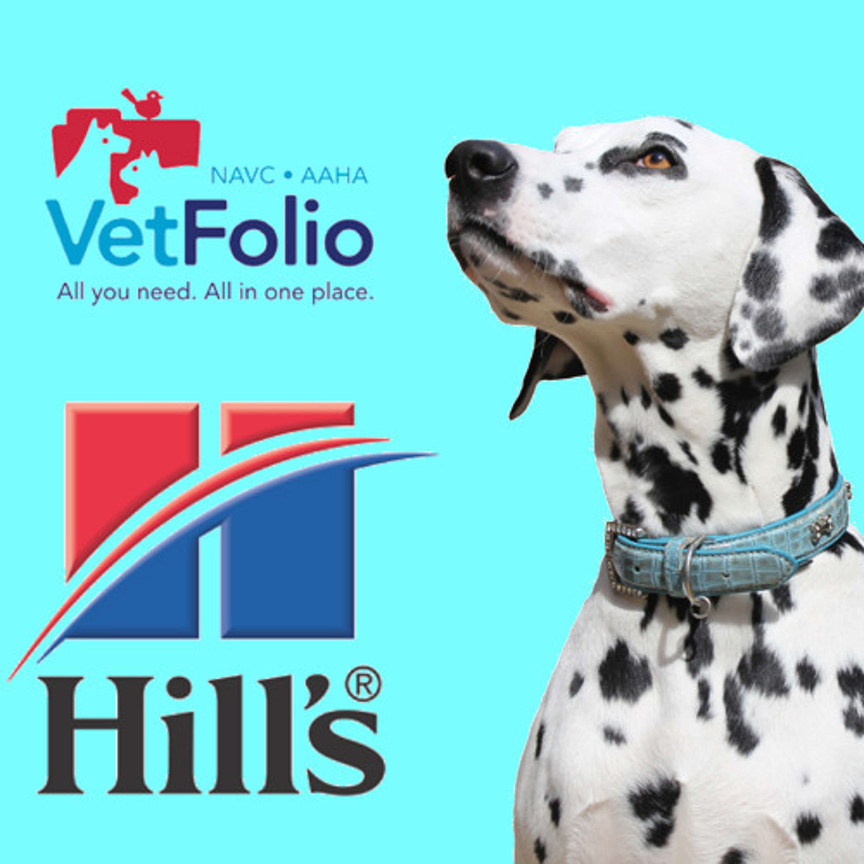 VetFolio Voice