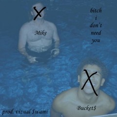 Bitch, I Don't Need You (prod. vizual $wami)