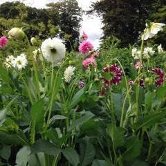 All Things as recorded by Chris mp3 version