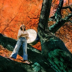 Tift Merritt - "Love Soldiers On"