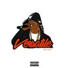 Versatile Mp3