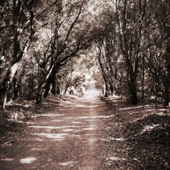 Afterglow (Prod. by The Legion)