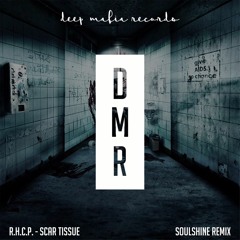 R.H.C.P. - Scar Tissue (Soulshine Remix) [Deep Mafia Records | DMRWF006]
