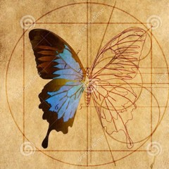 Mariposa