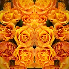 Massive Attack, Terry Callier, Cover, Live with me, Kenan, Palien