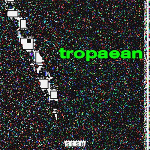 rogitate