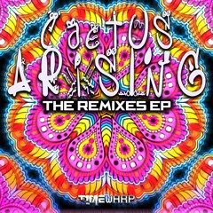 03 - InnerZone - Universal Enlightenment (Cactus Arising Remix)