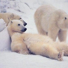 Relax