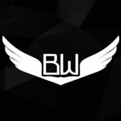 FAKE BRO'Z - Madmax aka Meezyme Prez-BwG