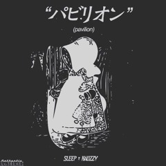 PAVILLION (Hauzzy x Sleep) Prod. AG beats